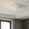 NELLY Straight 60 - Ceiling / Wall Lights